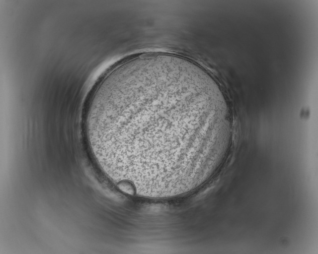 X0000113020200200909171503