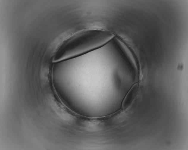 X0000113020201200909171503