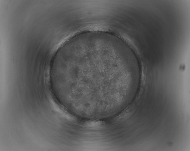 X0000113020202200909171503