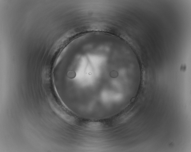 X0000113020203200909171503