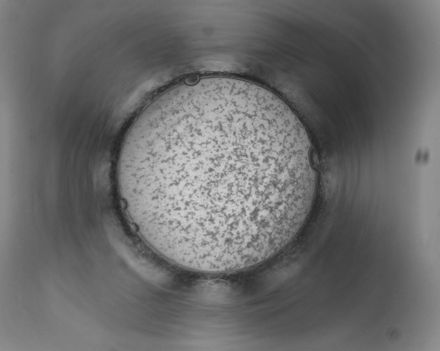 X0000113020207200909171503