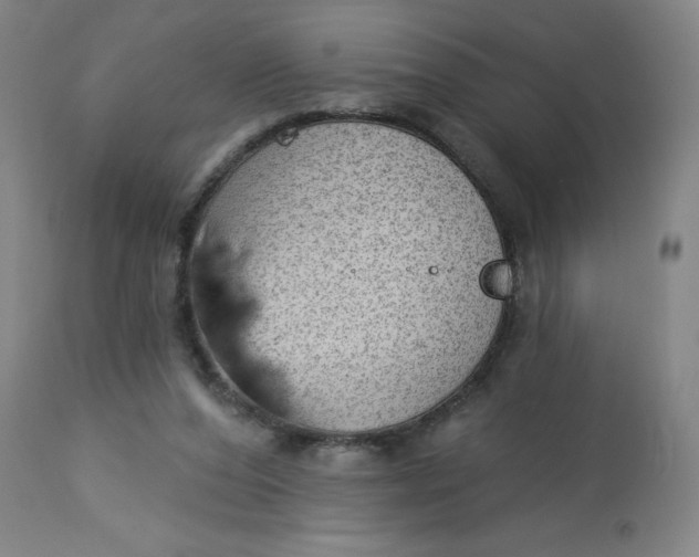 X0000113020208200909171503