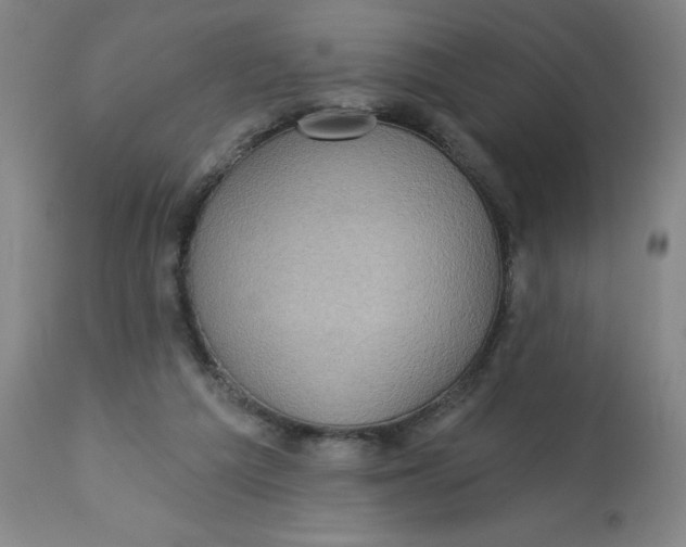 X0000113020209200909171503