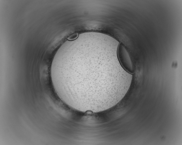 X0000113020211200909171503