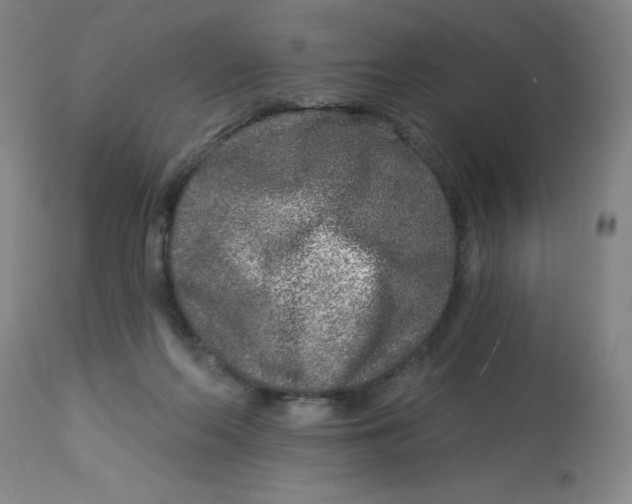 X0000113020214200909171503