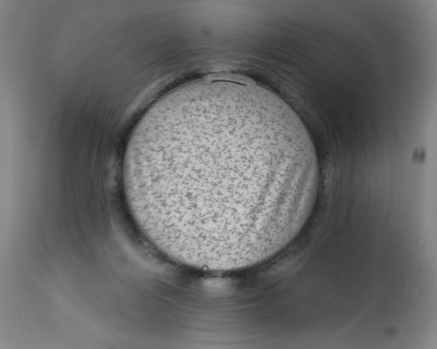 X0000113020216200909171503