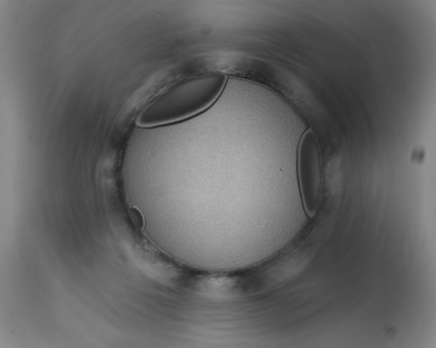 X0000113020217200909171503