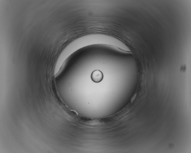 X0000113020219200909171503