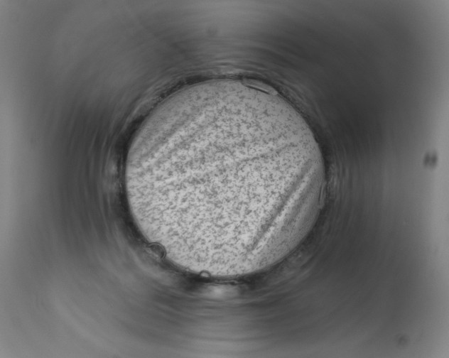 X0000113020220200909171503