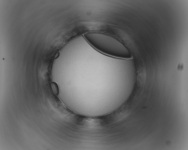 X0000113020221200909171503