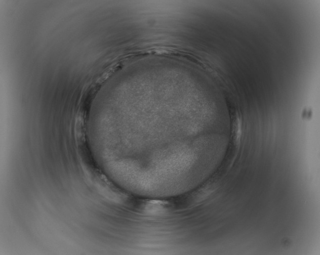 X0000113020222200909171503