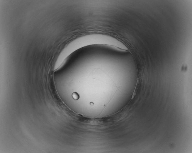 X0000113020223200909171503