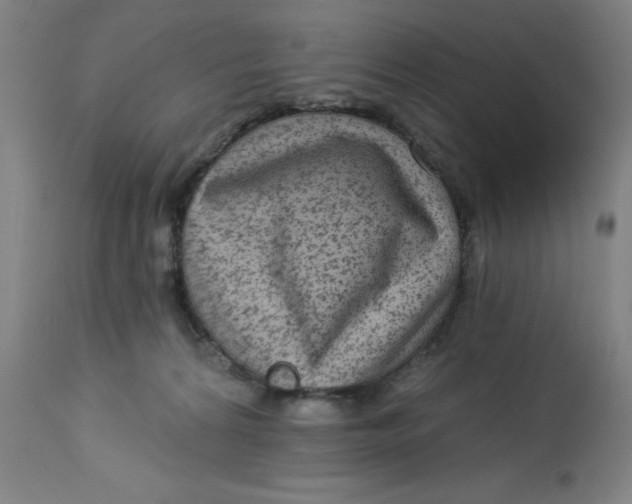 X0000113020224200909171503