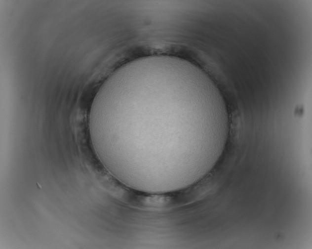 X0000113020225200909171503