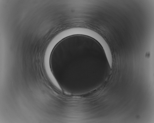 X0000113020227200909171503