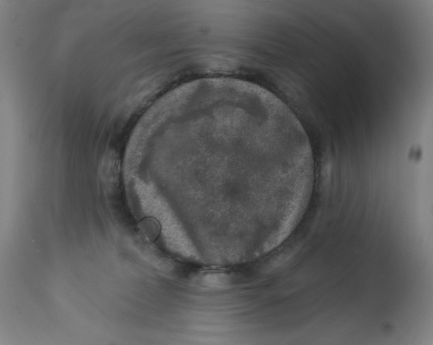 X0000113020228200909171503