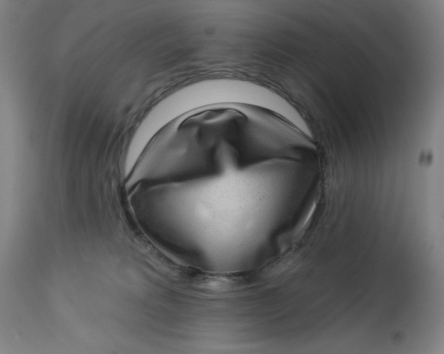 X0000113020229200909171503