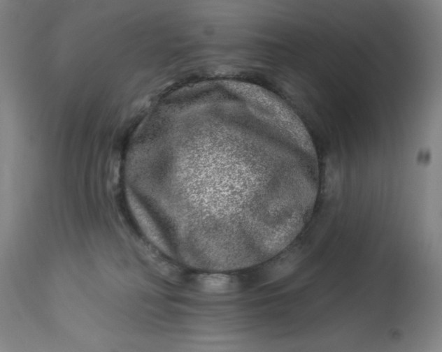 X0000113020230200909171503