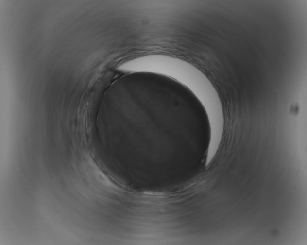 X0000113020231200909171503