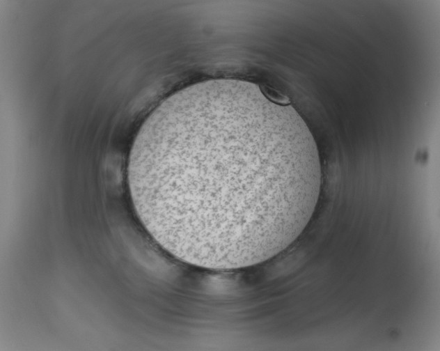 X0000113020232200909171502