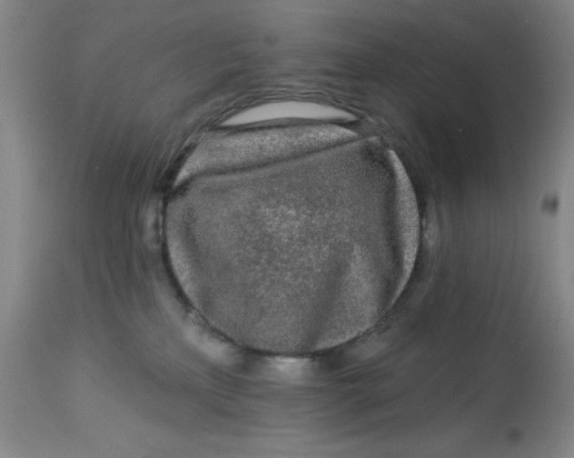 X0000113020233200909171502