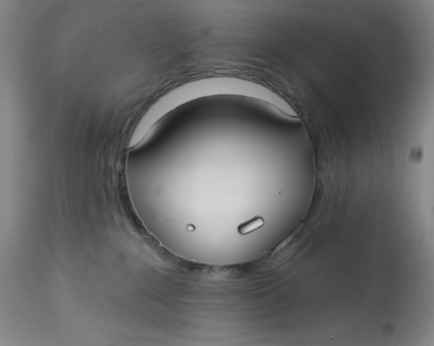 X0000113020235200909171502