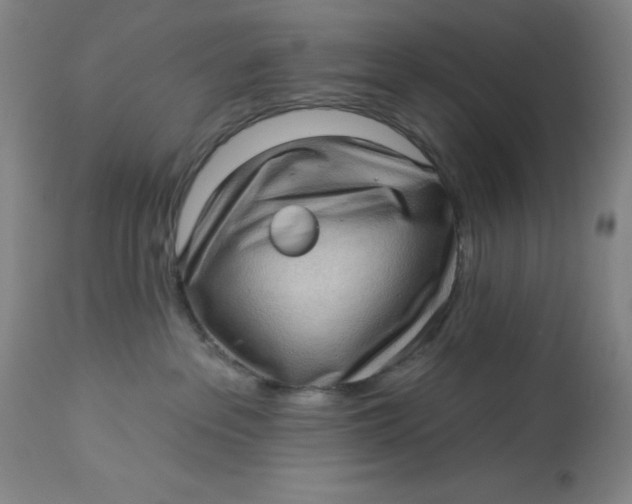 X0000113020237200909171502