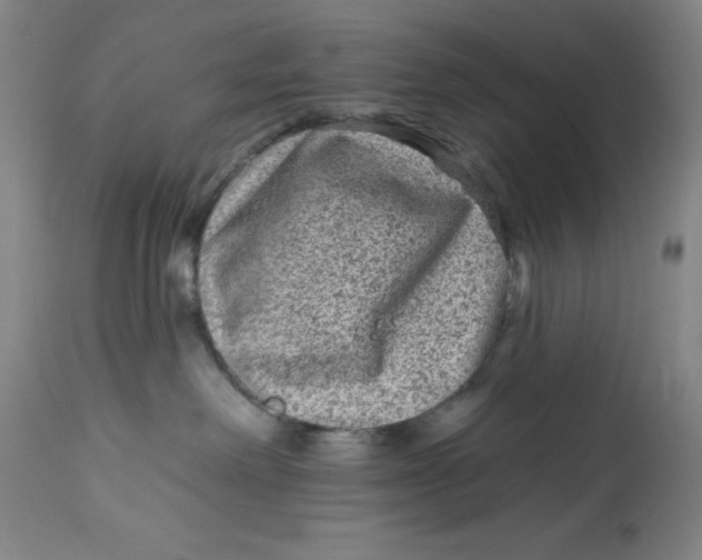 X0000113020238200909171502