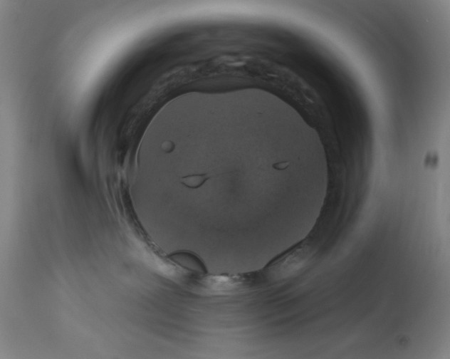 X0000113020239200909171502