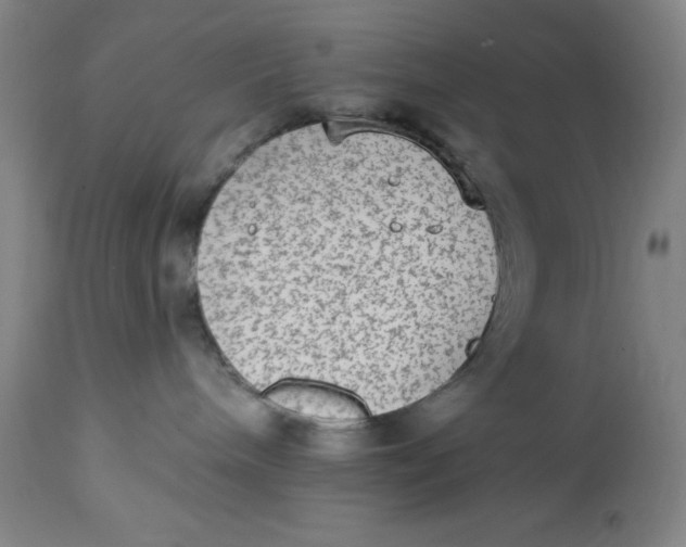 X0000113020240200909171502