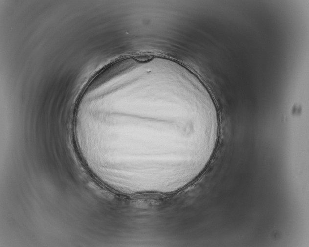 X0000113020241200909171501