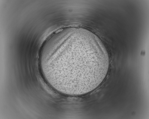 X0000113020242200909171501