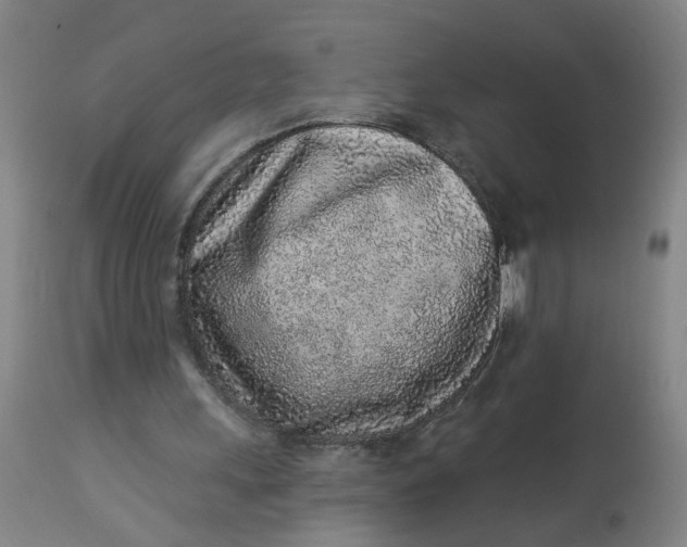 X0000113020243200909171501