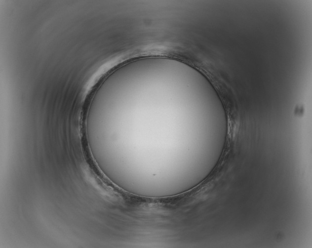 X0000113020244200909171501