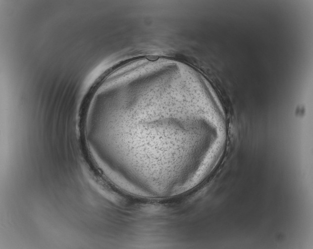 X0000113020246200909171501