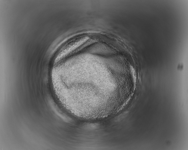 X0000113020247200909171501