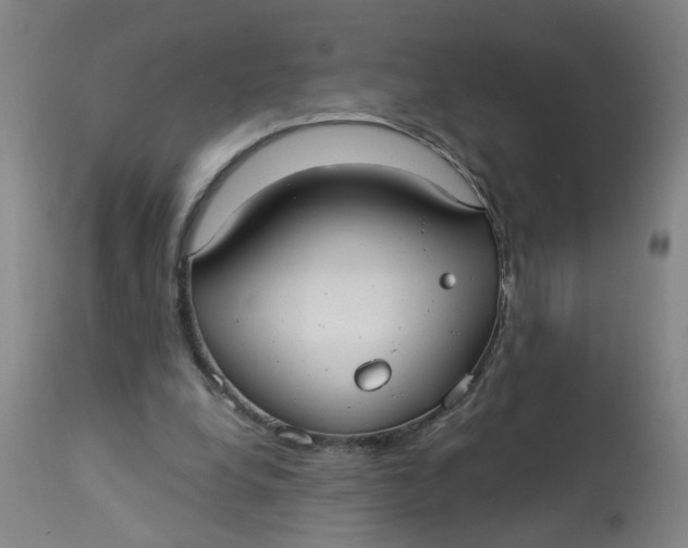 X0000113020248200909171501