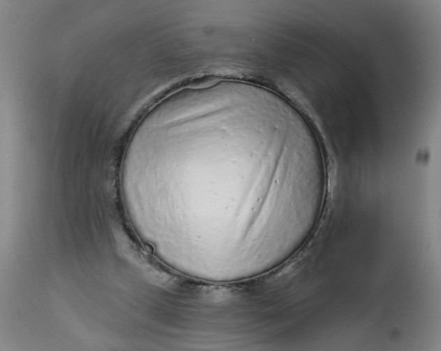 X0000113020249200909171501