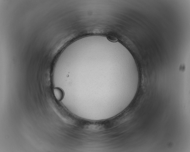 X0000113020251200909171501