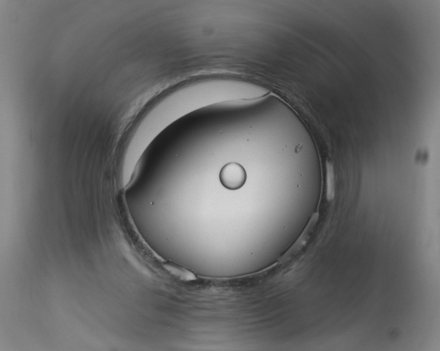 X0000113020252200909171501