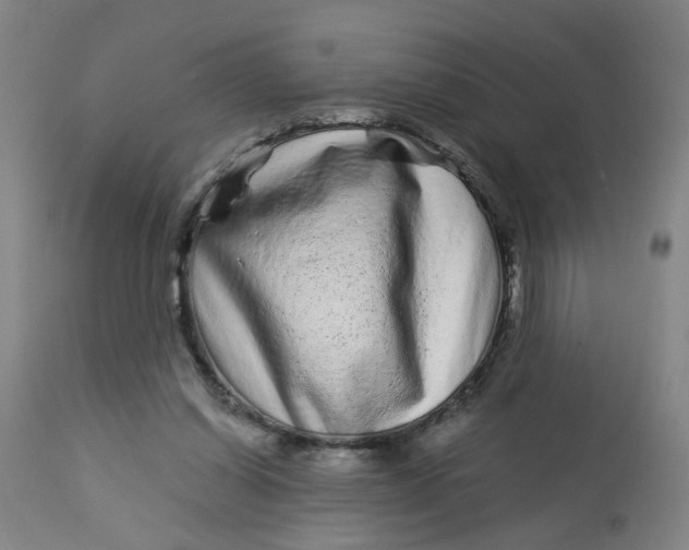 X0000113020254200909171501