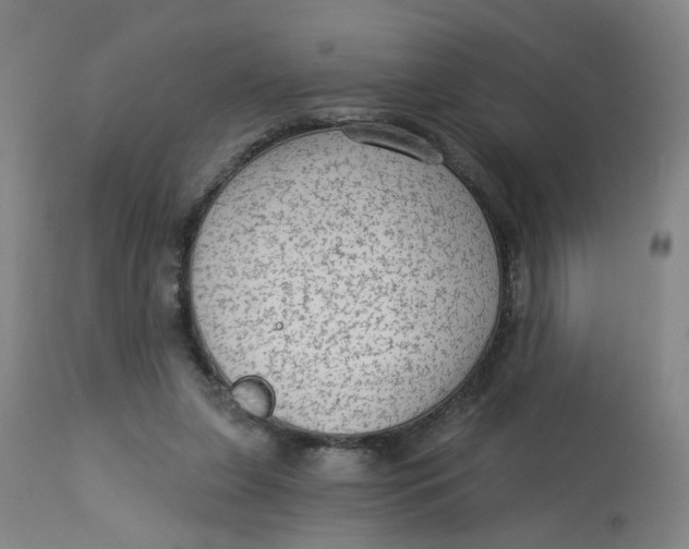 X0000113020255200909171501