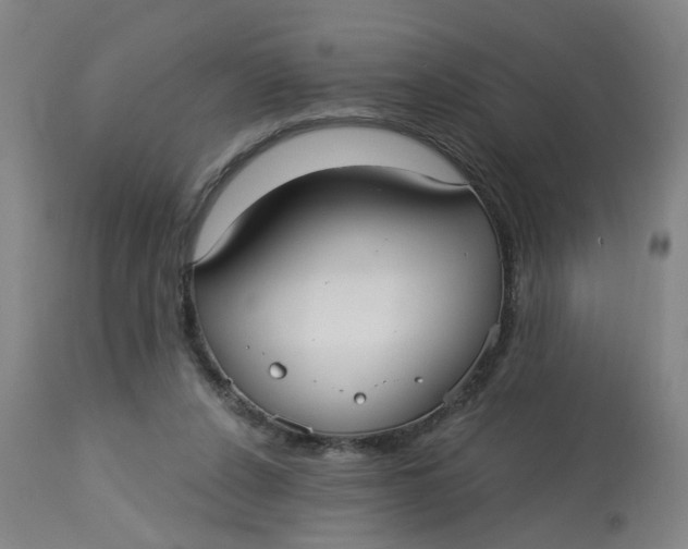 X0000113020256200909171501