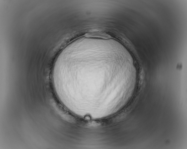 X0000113020257200909171501