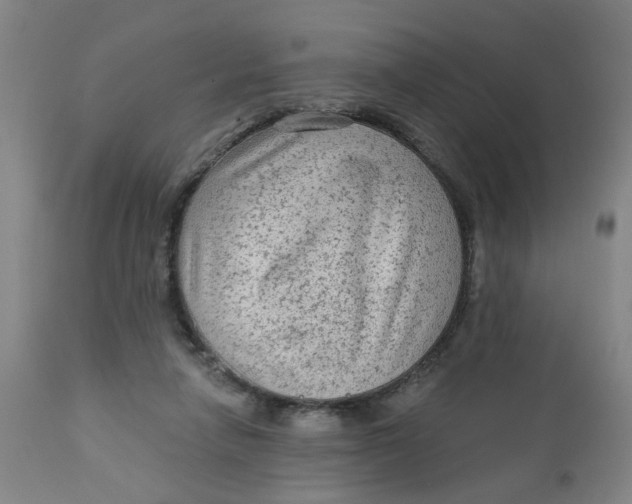 X0000113020258200909171501