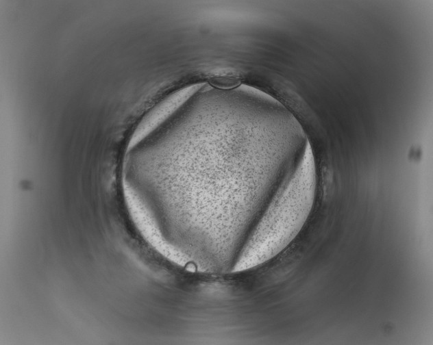 X0000113020259200909171502