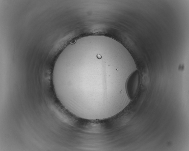 X0000113020260200909171502