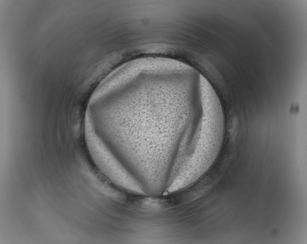 X0000113020261200909171502