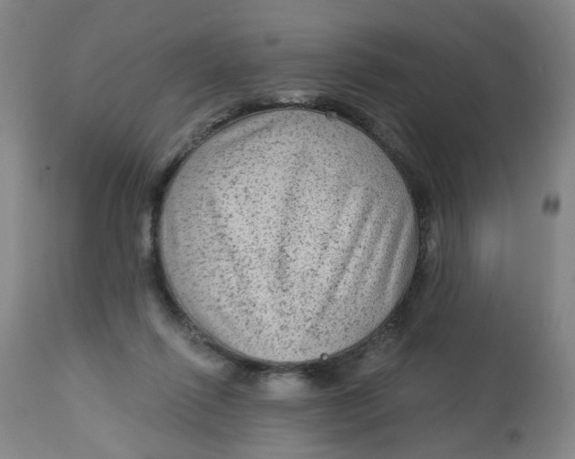 X0000113020262200909171502