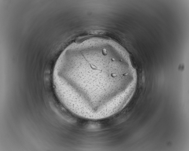 X0000113020263200909171502